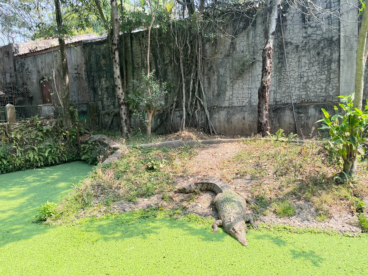 Musim Pancaroba Ancam Kesehatan Satwa, Taman Satwa Cikembulan Siapkan Langkah Antisipasi